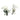 Green Bird Earrings | Sterling Silver