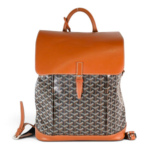 Goyard Alpin Mini Backpack