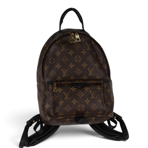 Louis Vuitton Monogram Palm Springs Backpack Mini